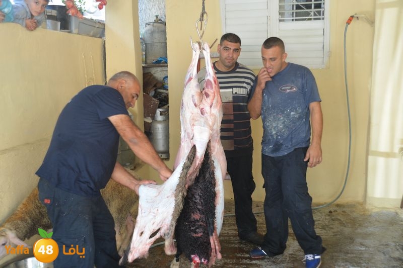 dabe7 lud kharoof 116 (27).JPG